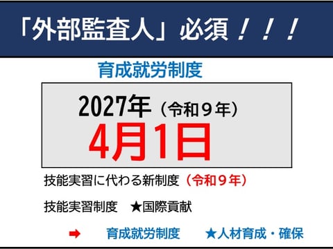 ホーム - 外部監査人詳細